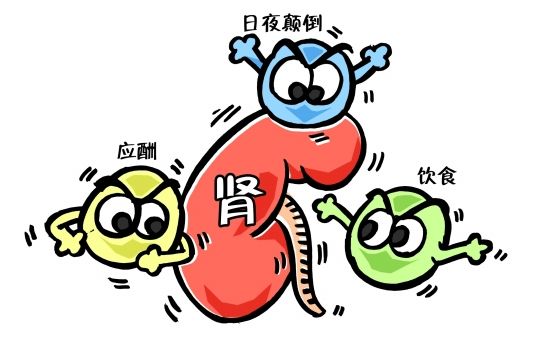 想拥有健康的肾?现在开始,一切来得及!