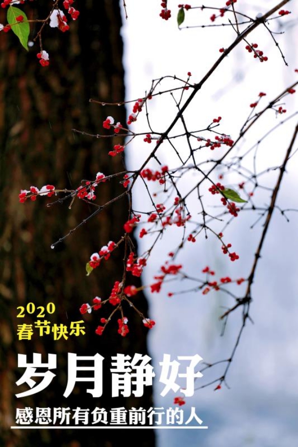 通知公告 致中日医院坚守在疫情防控一线的广大员工 中日友好医院 通知公告 致中日医院坚守在疫情防控一线的广大员工 中日友好医院