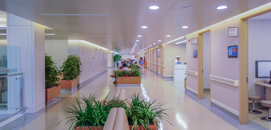 中日友好医院日文版 中日友好医院