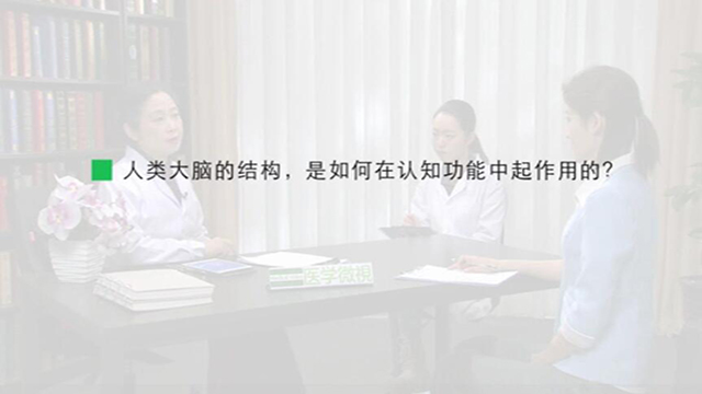3.人类大脑的结构，是如何在认知功能中起作用的？