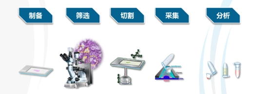 bf是什么细胞聚焦前沿器系列讲座(四)显微切割··科研仪10X单细胞测序探索细胞奥秘-上海聚慕医疗器械有限公司