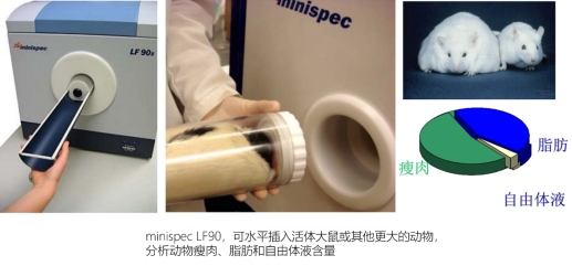 医院仪器怎么成像聚焦前沿·科研仪器系列讲座（七）小动物活体成像与组分分析_https://www.jmylbn.com_新闻资讯_第1张