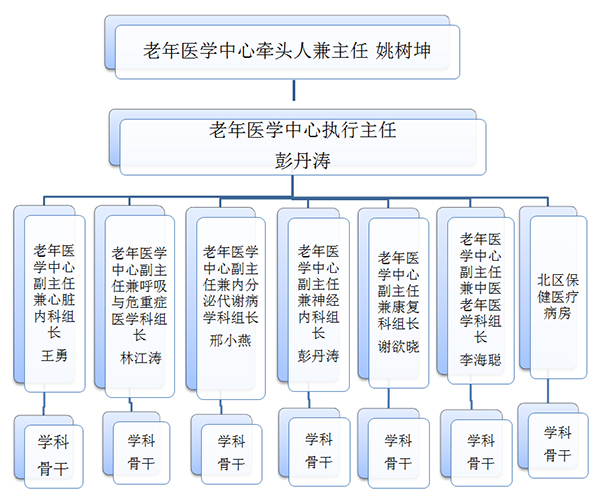 老年医学中心组织结构图.jpg