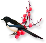 喜鹊登枝 分割线 图片